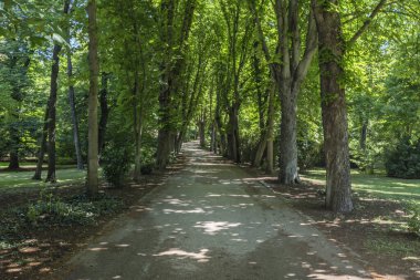 Ayrıca çeşitli hayvan ve bitkiler için yaşam alanları ve toprak erozyonunun önlenmesine yardımcı olurlar..