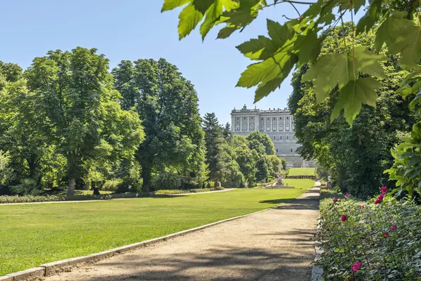 stock image Improved cardiovascular health: Walking or playing sports in parks can improve blood circulation and reduce the risk of heart disease