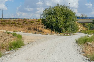 Güneş ışınları bulutları delip geçer, kurak toprakları aydınlatan ışık demetleri yaratır.