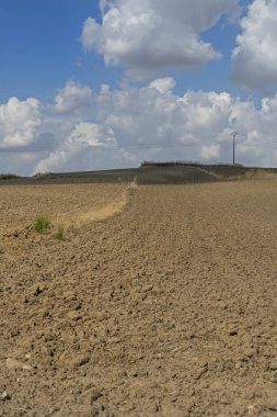 Gökyüzünde yüzen pamuk helva gibi beyaz bulutlar gökyüzünün yoğun maviliğiyle tezat oluşturuyor..