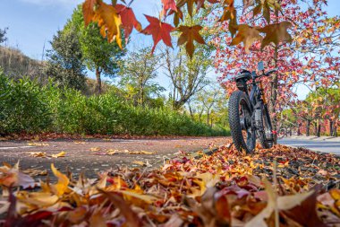 a park full of fallen leaves, a forest with colourful trees or a city wrapped in a blanket of leaves clipart