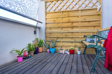 Bitkiler, herhangi bir tahta güverteye hayat, renk ve tazelik aşılamak için temel elementlerdir.