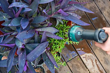 İlk önemli adım her bitkinin ihtiyaçlarını değerlendirmektir. Tüm türler aynı miktarda suya ya da aynı sıklıkta sulamaya ihtiyaç duymaz..