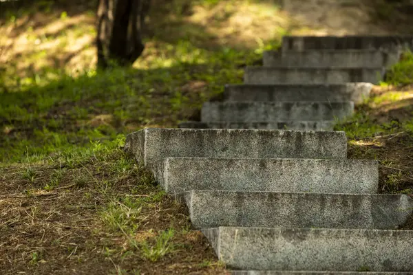 Çimenli ve ağaçlı bir şehir parkının yolunda granit merdiven