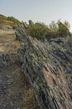 Yüzeyde antik kağıt üzerindeki mürekkep ırmakları gibi çapraz çapraz çizgilere sahip mineral lamina.