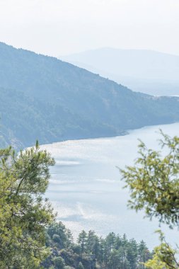 Kayalık dağları ve çam ormanlarını yansıtan bir gölün yaz manzarası. Parlayan güneşin altındaki mükemmel bir ayna gibi.