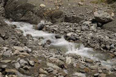 Dağları, ormanı ve önünde bir nehri olan bir manzara. Güzel manzara.
