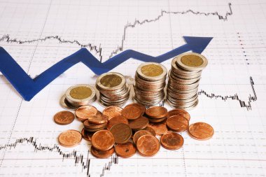 Madeni paralarla ilgili mali rapor üzerine iş diyagramı