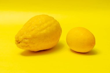 Sarı arka planda sulu olgun limonlar. Yaratıcı bir yemek konsepti. Tropikal organik meyveler, narenciye meyveleri, C vitamini tam limon. Yaz minimalist parlak meyve arkaplanı.