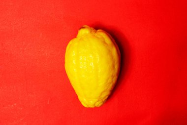 Kırmızı arka planda sulu olgun limonlar. Yaratıcı bir yemek konsepti. Tropikal organik meyveler, narenciye meyveleri, C vitamini tam limon. Yaz minimalist parlak meyve arkaplanı