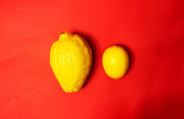 Kırmızı arka planda sulu olgun limonlar. Yaratıcı bir yemek konsepti. Tropikal organik meyveler, narenciye meyveleri, C vitamini tam limon. Yaz minimalist parlak meyve arkaplanı