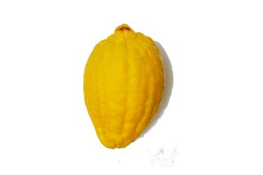 Beyaz arka planda sulu olgun limonlar. Yaratıcı bir yemek konsepti. Tropikal organik meyveler, narenciye meyveleri, C vitamini tam limon. Yaz minimalist parlak meyve arkaplanı.