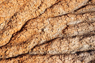 Kahverengi, kaya, kurak kuraklık yağmur iklim değişikliğinden yoksun toprak,