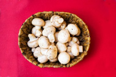 Kırmızı arka planda mantarlar ve şampiyonlar yukarıdan görünüyor. Lezzetli ve sağlıklı mantarlar evde yetiştiriliyor. Taze çiğ mantar. Yiyecekler. Yemek pişirmek. Vejetaryenlik