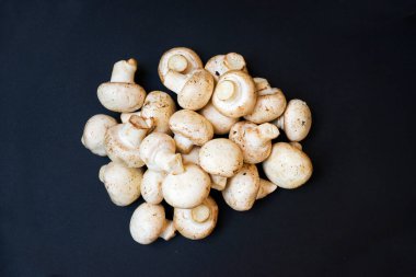 Siyah arka planda mantarlar ve şampiyonlar yukarıdan görünüyor. Lezzetli ve sağlıklı mantarlar evde yetiştiriliyor. Taze çiğ mantar. Yiyecekler. Yemek pişirmek. Vejetaryenlik.