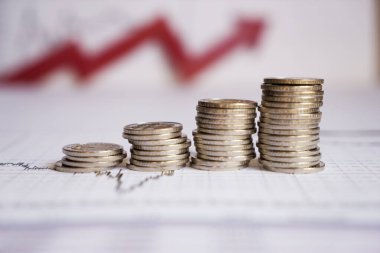 Madeni paralarla ilgili mali rapor üzerine iş diyagramı