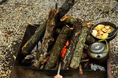 Metal bir ızgaranın üzerinde tavuklu dökme demir bir tava duruyor. Açık ateşte yemek pişirmek. Kamp gezisinde ve piknikte nefis yemekler..