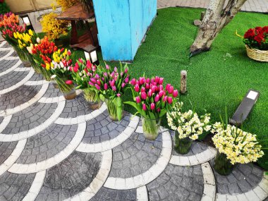 Kırmızı, beyaz, turuncu, leylak, sokakta satılık cam kavanozlarda çok renkli laleler.