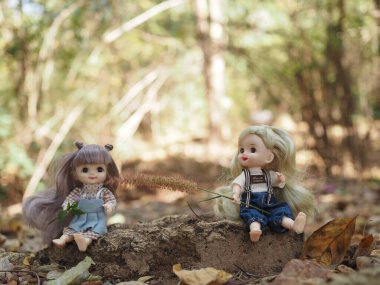 ( Yüksek çözünürlüklü ve Yüksek Verimlilik Kamerası ve Lens 'ten yüksek çözünürlüklü ve keskinlik) Arka planı bulanık sonbahar ormanı arka plan ve duvar kağıdı kağıtları için sevimli bir bebek.