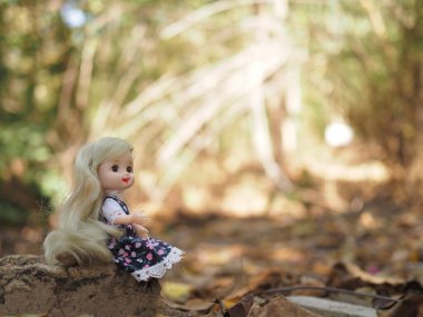 ( Yüksek çözünürlüklü ve Yüksek Verimlilik Kamerası ve Lens 'ten yüksek çözünürlüklü ve keskinlik) Arka planı bulanık sonbahar ormanı arka plan ve duvar kağıdı kağıtları için sevimli bir bebek.