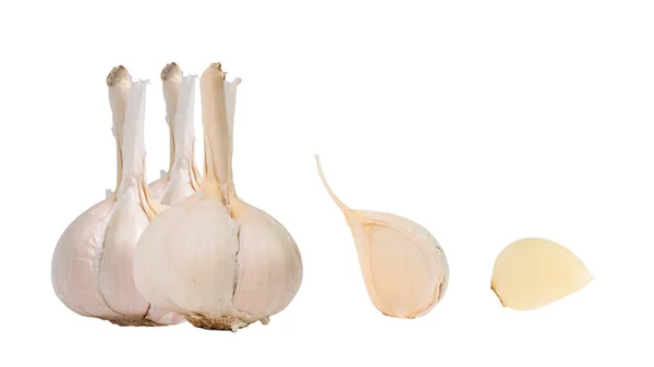 Collection Organic Garlic White Background Clipping Path — Stock Photo, Image