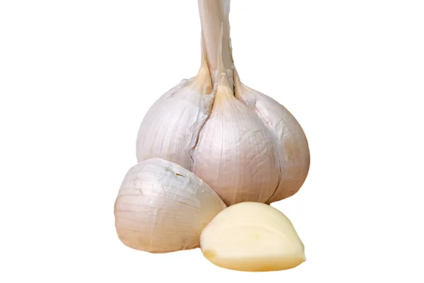 Collection Organic Garlic White Background Clipping Path — Stock Photo, Image