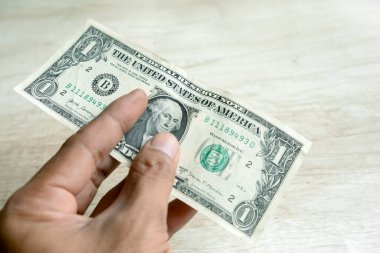 İnsan eliyle bir dolar.