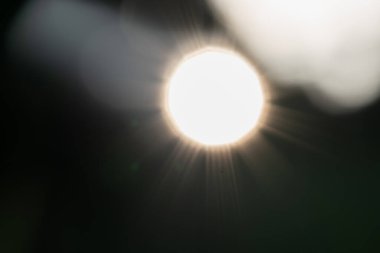 Güneş ışığı bulanık arkaplan, yeşil bokeh, soyut