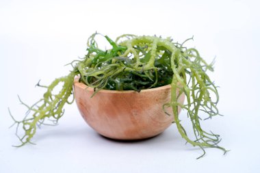 Taze Graciillaria Beyaz arka planda izole edilmiş ahşap kaptaki Spp yosunları