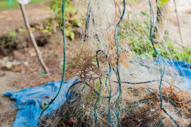 Limandaki iskelede balık ağları ve yosun yığınları