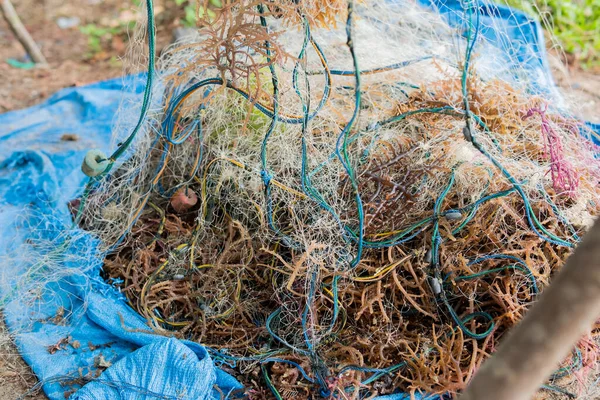 stock image Piles of fishing nets and seaweed on the harbor pier