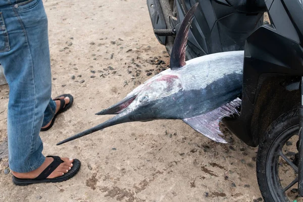 A marlin fish that is caught and will be sold at the fish market.