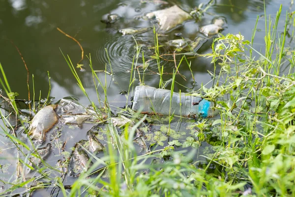 プールの水に浮かぶ家庭用プラスチック廃棄物 環境汚染 ロイヤリティフリーのストック写真