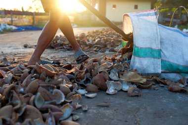 Seçilen hindistan cevizi yağının kurutulmuş koprası hindistan cevizi yağı elde etmek için kullanılır.