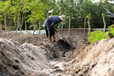 Çiftçiler tarlalarda çalışırken toprağı işlerken çapa kullanırlar.