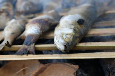 Bazı balıklar, kampta yanan ateşin kömürlerinin üzerinde kızartılıyordu.