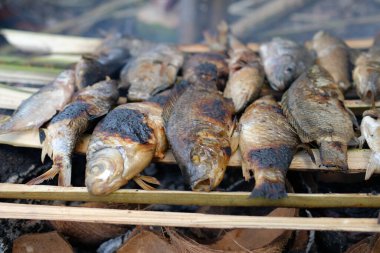 Bazı balıklar, kampta yanan ateşin kömürlerinin üzerinde kızartılıyordu.