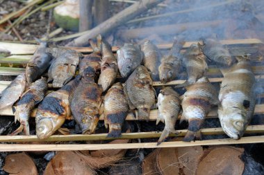 Bazı balıklar, kampta yanan ateşin kömürlerinin üzerinde kızartılıyordu.