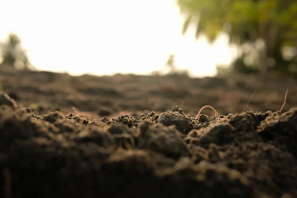 Solo Solto Antes Plantar Legumes Agricultura — Fotografia de Stock