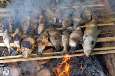 Bazı balıklar, kampta yanan ateşin kömürlerinin üzerinde kızartılıyordu.