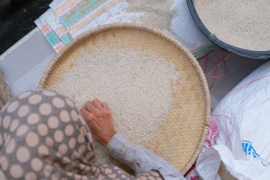 Asyalı yaşlı kadın pirinç karıştırıyor geleneksel bir sepet kullanarak pirinç kabuklarını temizliyor. Pişirmeden önce pirincin saf olduğundan emin oluyor.