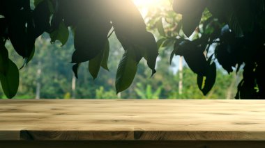 Beyaz arka planda beyaz tencerede bulunan dieffenbachia bitkisi