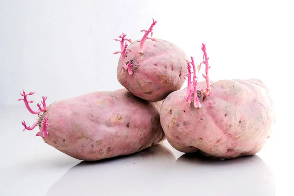 Beyaz Arka Planda Soyutlanmış Tatlı Patates — Stok fotoğraf