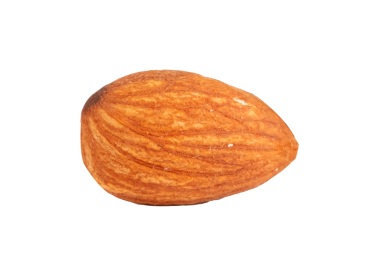 Tek Nut şeffaf bir arkaplanda izole edildi