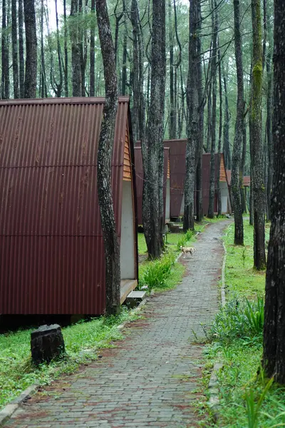 Kırsal Metal Kulübeler Yemyeşil Orman 'da Taş Yol