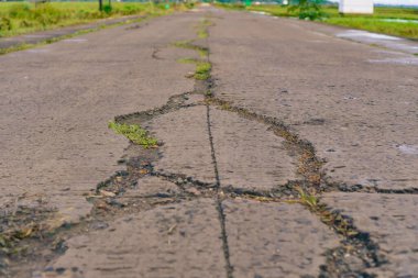 Kırsal kesimlerde yabani otların büyüdüğü asfalt yol yüzeyinde çatlaklar