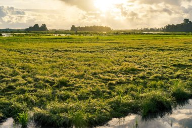 Günbatımında Su Yansıması ile Manzara Alanı