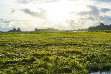 Geniş Yeşil Alan Bulutlu Gökyüzü ile Gündoğumunda