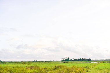 Açık Gökyüzünün Altında Resimli Bir Alan