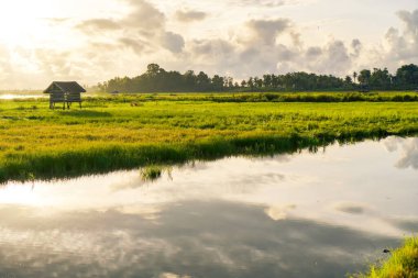 Bereketli bir arazide Su Yansımalarıyla Huzurlu Gündoğumu